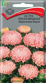 Астра Абрикосовая башня пионовидная (0,3г) Поиск/10