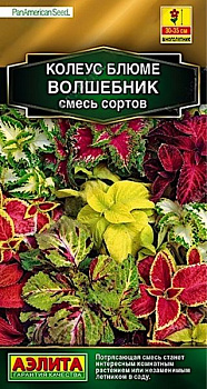 Колеус блюме Волшебник, смесь (10шт) Аэлита/10