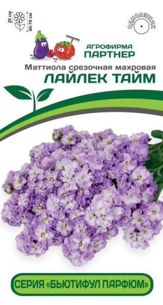 Маттиола Лайлек Тайм