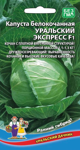kapusta-belokochannaya-uralskiy-ekspress-f1