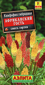 Книфофия Африканский гость (0.1г) Аэлита/10