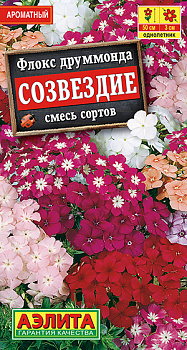 Флокс Созвездие (0,3г) Аэлита/10