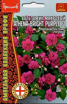 Бальзамин Афина Ярко-Пурпурный F1 махровый амп. Athena Bright Purple (5др) Редкие овощи/10