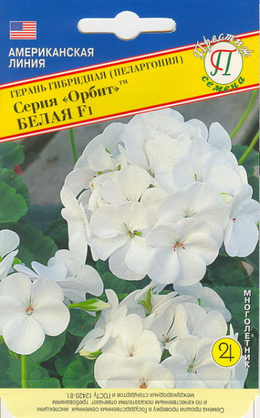 Орбит белая