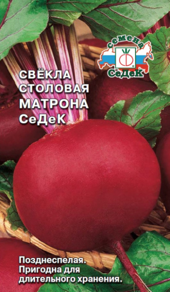 svekla_matrona_sedek