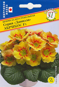Примула Даниэла Абрикос F1 (5шт) Престиж/10