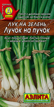 Лук на зелень Лучок на пучок (0,5г) Аэлита/10