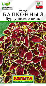 Колеус Балконный Бургундское вино (5шт) Аэлита/10