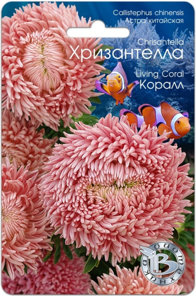 00000014602_1