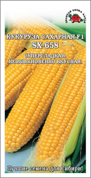 Кукуруза SX-658