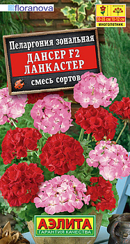 Пеларгония Дансер Ланкастер F2 (5шт) Аэлита/10