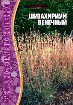 Шизахириум Венечный (20шт) Редкие овощи/10