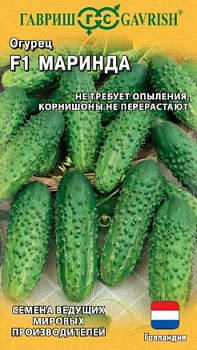 Огурец Маринда F1 (10шт) (Голландия) Гавриш/10