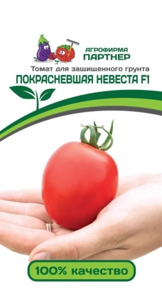 Томат покрасневшая невеста