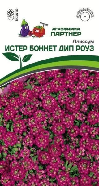 Алиссум истер боннет дип роуз