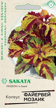 Колеус Файервей Мозаик (5шт) Гавриш/10