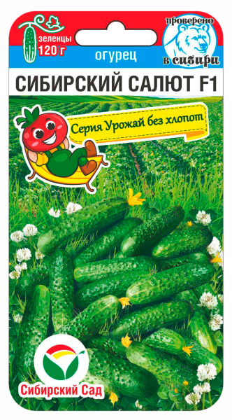 Огурец Сибирский салют