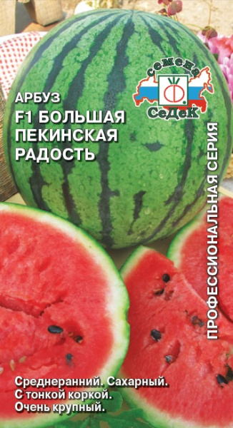 arbuz_bolshaya_pekinskaya_radost_f1