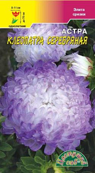 Астра Клеопатра Серебрянная (0,2г) ЦвСад/10