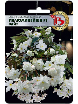 Бегония Иллюминейшн F1 Вайт (8шт) Биотехника/10