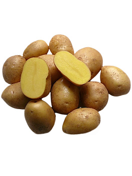 Картофель семенной Невский 45кг(супер супер элита)