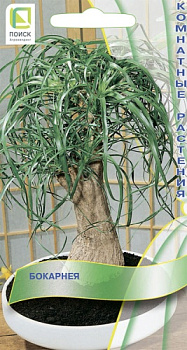 Бокарнея (5шт) Поиск/10