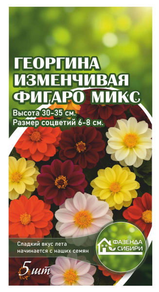 Георгина изменчивая Figaro Mix
