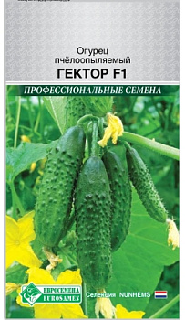 Огурец Гектор F1 (8шт)/Nunhemsn Евросемена/10