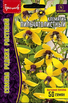 Клематис Пильчатолистный (50шт) Редкие овощи/10