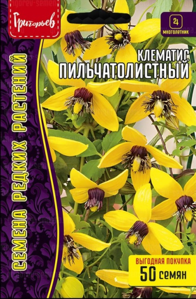 Клематис Пильчатолистный