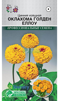 Цинния Оклахома Голден Еллоу (10шт) Евросемена/10