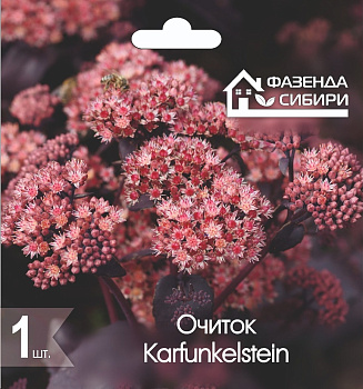  Очиток Карфункельштайн/Karfunkelstein (1шт) Фазенда Сибири