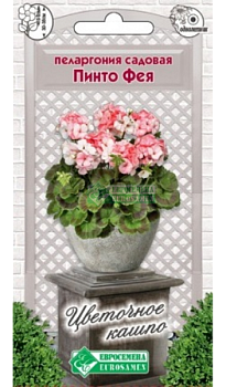 Пеларгония Пинто Фея садовая (3шт) Евросемена/10