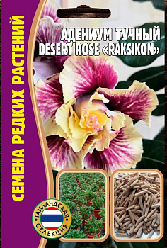Адениум DesertRose "Raksikon" тучный (3шт) Редкие овощи/10