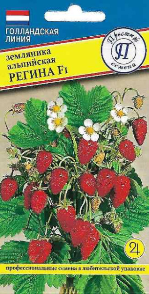 Регина