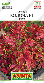 Колеус Колоча Роуз F1 (5шт) Аэлита/10