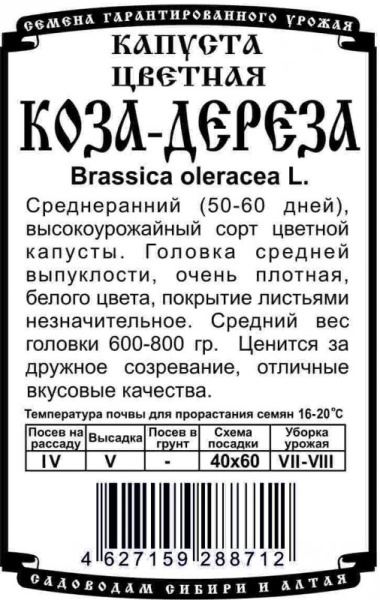 tsvetnaya_koza-dereza