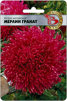 Астра Мерлин Гранат китайская (50шт) Биотехника/10
