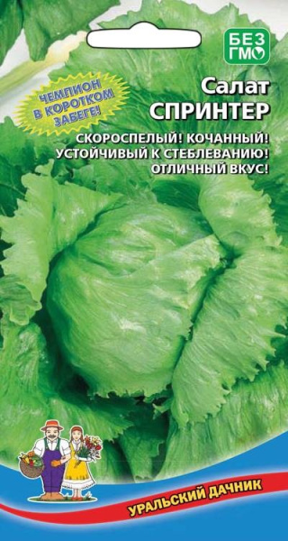 спринтер