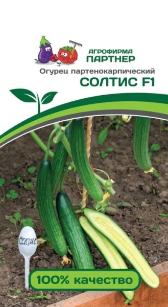 Огурец  Солтис