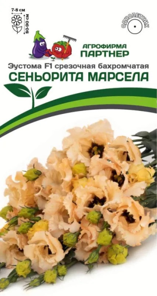 Эустома сеньорита марсела