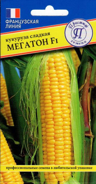Мегатон