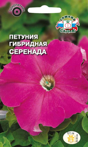 petuniya_serenada_f1