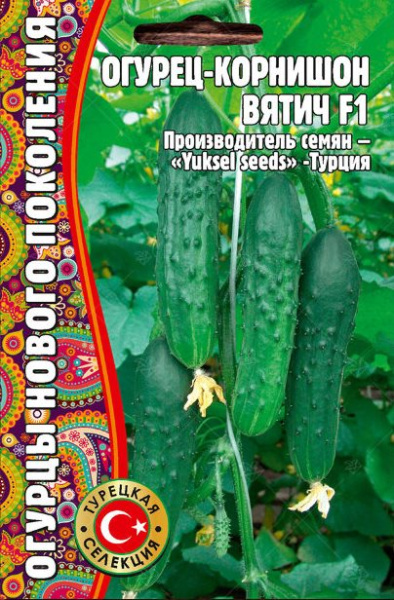 Вятич