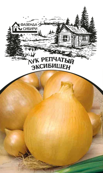 luk repchatyi exibishen faz