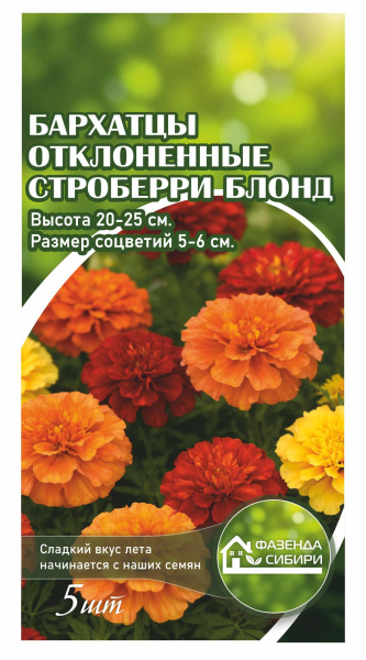 Бархатцы отклоненные Strawberry Blonde