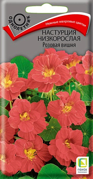 Настурция Розовая вишня, низкорос. (1г) Поиск/10