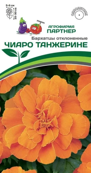 Бархатцы чиаро танжерини