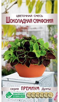 Цветочная смесь Шоколадная симфония (4шт) Евросемена/10