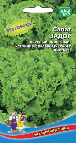 Задор